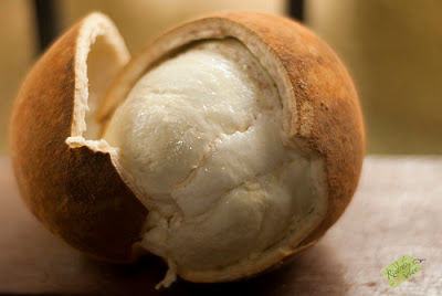 Cupuacu Fruit