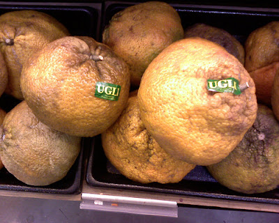 Ugli Fruit