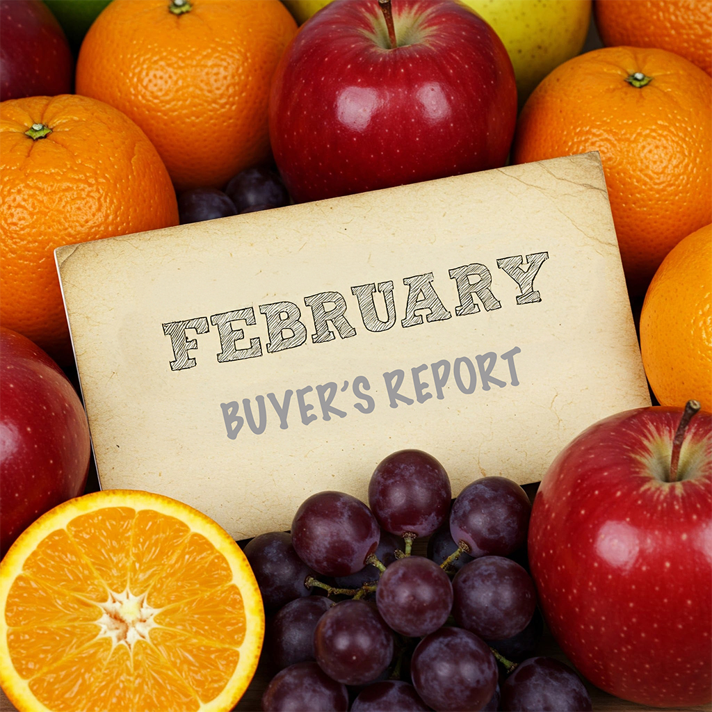 February Buyer's Report